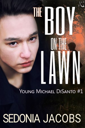 The-Boy-on-the-Lawn